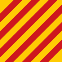 Y flag